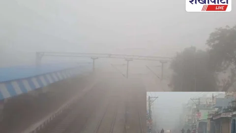 रतनगढ़ में घना कोहरा और कड़ाके की ठंड, स्कूलों का अवकाश बढ़ा