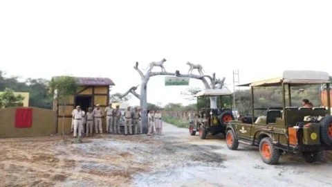 खेतड़ी में शुरु हुई लैपर्ड सफारी: खुली जिप्सी में सुबह-शाम 3 घंटे लेपर्ड देख सकेंगे पर्यटक