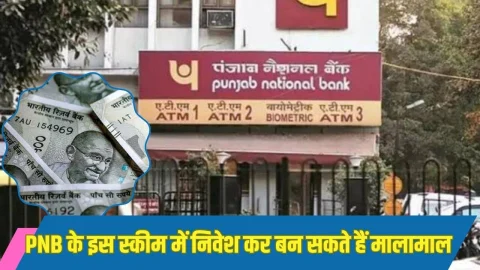 PNB के इस स्कीम में निवेश कर बन सकते हैं मालामाल, मात्र 24 महीनो में मिलेगा बंपर रिटर्न, होगा फायदा ही फायदा