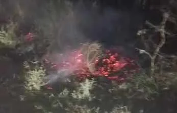 11 केवी बिजली लाइन का तार टूटकर गिरने से खेत में लगी आग