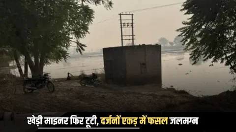 Haryana News : सिरसा की खेड़ी माइनर फिर टूटी, दर्जनों एकड़ में गेहूं-सरसों की फसल जलमग्न
