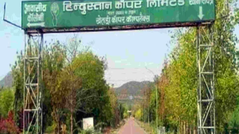 सिंघाना में 28 जुलाई को होगा निःशुल्क पौधा वितरण कार्यक्रम