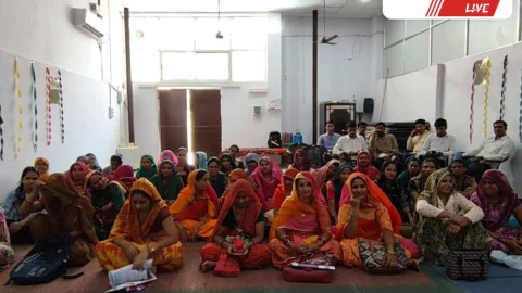 Sikar : आक के पौधों से राजीविका महिला बनेगी लखपति