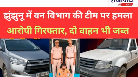 Video News: झुंझुनू के गुढ़ागौड़जी में वन विभाग पर हमला, आरोपी गिरफ्तार
