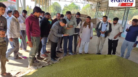 Churu News: मंडी में फसल तुलाई हो निष्पक्ष व पारदर्शी: कलेक्टर