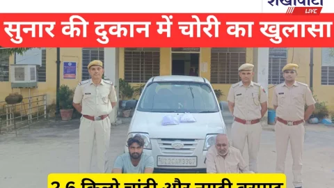 Video News: सुनार की दुकान में चोरी का खुलासा, 2.6 किलो चांदी बरामद