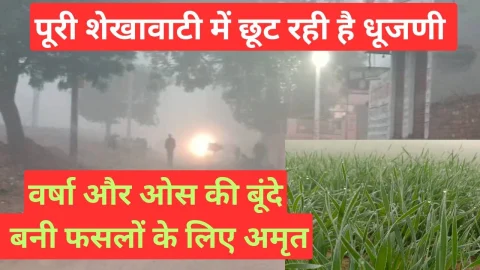Video News – बढ़ी ठंड और गिरती ओस बनी रबी फसलों के लिए अमृत
