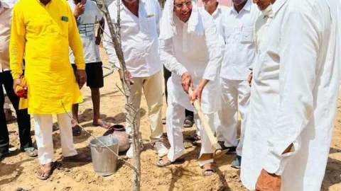 पर्यावरण दिवस पर नवनिर्वाचित सांसद ओला ने किया पौधारोपण