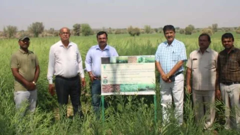 कृषि अनुसंधान केन्द्र व महाविद्यालय का निदेशक अनुसंधान ने किया दौरा