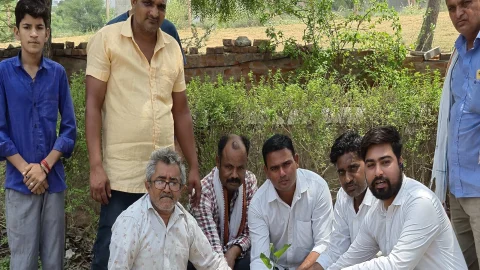 रतनगढ़ में राहुल गांधी का जन्मदिन 21 पौधे लगाकर मनाया गया