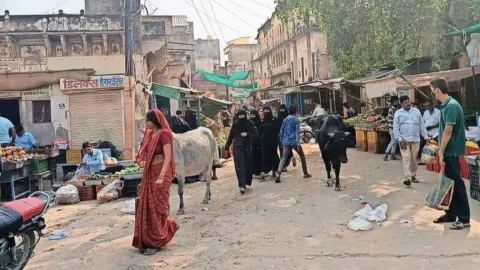 विकसित भारत 2047 कार्यशाला का हुआ आयोजन