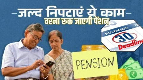 Big Update For Pensioners: पेंशनर्स के लिए जरूरी खबर, 30 नवंबर तक करें ये काम, वरना रुक जाएगी पेंशन