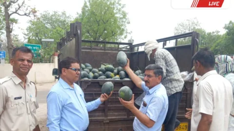 Jhunjhunu News – झुंझुनू में भी टूटी चिर निंद्रा : 49 फल सैंपल जांच को भेजे गए