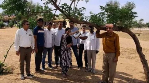 पक्षियों के लिए राजकीय उच्च माध्यमिक विद्यालय चुवास में दाना पानी अभियान शुरू