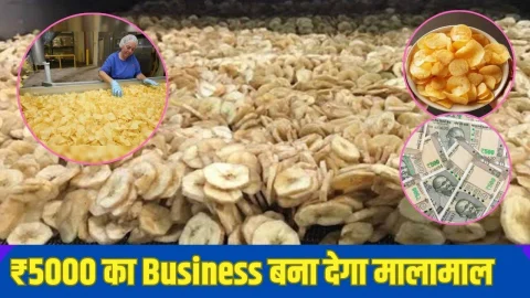 Business Idea: नए साल पर शुरू करें ये धमाकेदार बिजनेस, कम समय में बन जाएंगे मालामाल, मार्केट में है भारी डिमांड