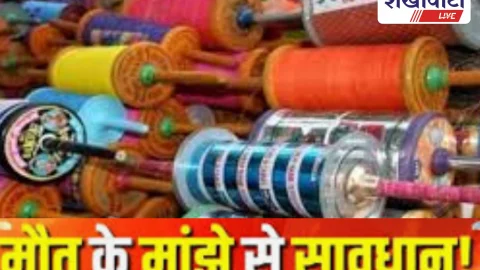 मकर संक्रांति पर चाइनीज मांझा बैन: जिलों को एडवाइजरी जारी