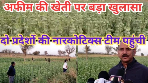 Video News – अफीम की खेती करने को लेकर हुआ बड़ा खुलासा, दो प्रदेशों की नारकोटिक्स टीम पहुंची