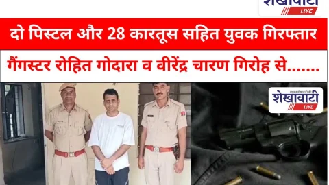 Video News: दो पिस्टल और 28 कारतूस सहित युवक गिरफ्तार