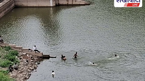 Jhunjhunu News: कोट बांध बना खतरे का केंद्र, प्रशासन की अनदेखी