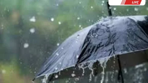 Sikar News – मानसून 2025 की तैयारियों को लेकर बैठक 26 मई को