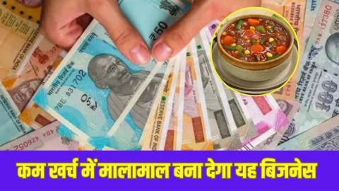 कम खर्च मे शुरू करें ये शानदार बिजनेस, रोजाना 4 घंटे काम करने पर होगी अंधाधुंध कमाई, बन जाएंगे मालामाल