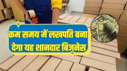 Business Idea: घर बैठे शुरू करें ये शानदार बिजनेस, हर महीने होगी 40 से 50 हजार की कमाई, बन जाएंगे मालामाल