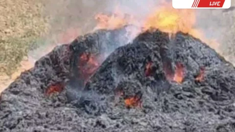 जोहड़ में लगी आग फैली खेतों तक