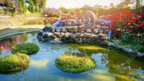 वन विभाग विकसित करेगा भव्य लव कुश वाटिका