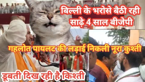 Video Report : बिल्ली के भरोसे बैठी रही साढ़े चार साल बीजेपी – Part :1