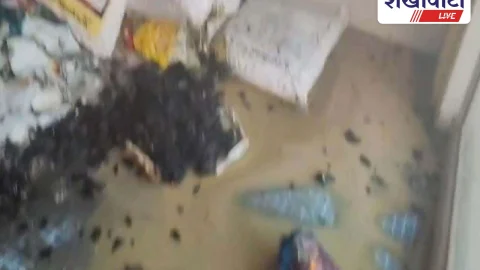 Churu News: खाद-बीज गोदाम में आग, लाखों का नुकसान