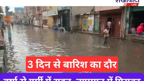 Video News- जिले में तीन दिनों से रुक-रुक कर बारिश का दौर