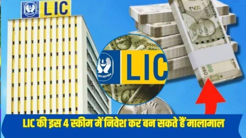 LIC ने लॉन्च किया 4 शानदार स्कीम, इसमें पैसा लगाने पर जीवनभर होगी नोटों की बारिश, जानें डीटेल्स