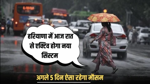 Haryana Weather Update : हरियाणा में अगले 5 दिन ऐसा रहेगा मौसम, देखें IMD का ताजा अपडेट