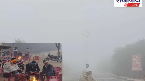 Sikar News: कड़ाके की ठंड का कहर, घना कोहरा और शीतलहर बरकरार