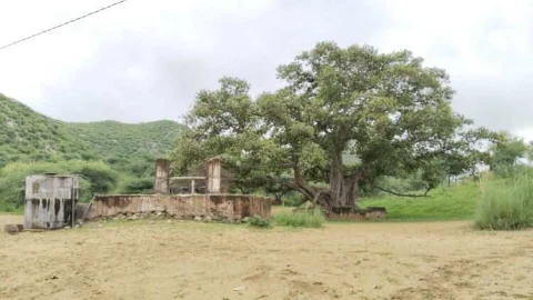 सिस्टम का सितम : दो साल से सीमा ज्ञान के आदेश लेकर किसान लग रहा है चक्कर