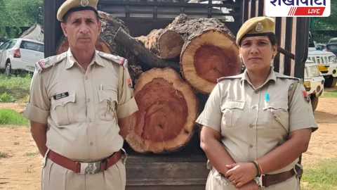 झुंझुनूं: बिसाऊ पुलिस ने हरी लकड़ियों से भरी पिकअप पकड़ी