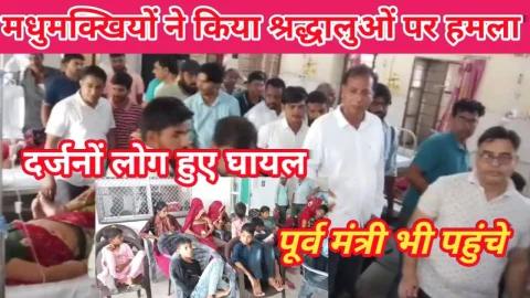 Video News – मधुमक्खियों ने किया दर्जनों श्रद्धालुओं पर हमला, पूर्व मंत्री गुढा भी पहुंचे