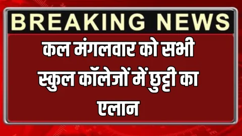 School Holiday : कल मंगलवार को सभी स्कुल कॉलेजों में छुट्टी का एलान, जानिए सरकार ने क्यों दिया है 11 नवंबर का अवकाश