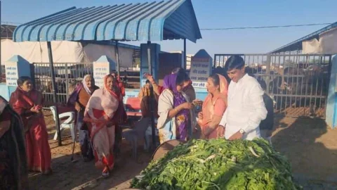 नदियों को हरा चारा खिलाकर मनाया भाजपा नेता शर्मा का जन्मदिवस