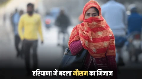 Haryana Weather: पहाड़ों में बर्फबारी से हरियाणा में बदला मौसम का मिजाज, गिरा तापमान, बढ़ गई है ठंड, देखें रिपोर्ट