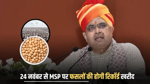 राजस्थान में 3 लाख से ज्यादा किसानों ने कराया पंजीकरण, 24 नवंबर से MSP इन फसलों की होगी रिकॉर्ड खरीद