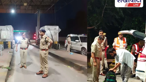 Jhunjhunu News: झुंझुनूं में टाइगर ने संभाली कमान:  सुरक्षा चाक-चौबंद