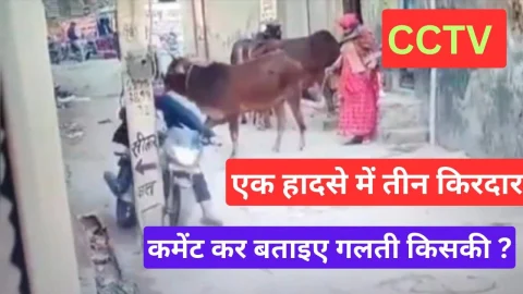 Video News – शायद ही ऐसा हादसा आपने देखा या सुना होगा, अब आप बताइये गलती किसकी