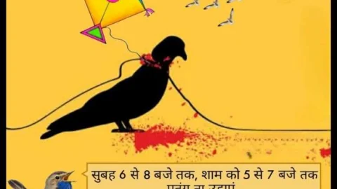 घायल पक्षियों के इलाज के लिए हेल्पलाईन नम्बर जारी किये