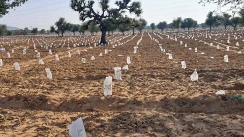 ट्री बेग लगाकर शीतदंश से हजारों पौधों को बचा रहे हैं पद्मश्री सुंडाराम