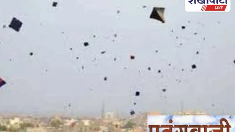 पतंगबाजी का समय तय, नायलॉन मांझे पर पूर्ण प्रतिबंध