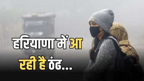 Haryana Weather Update: हरियाणा में आ रही है ठंढ… हो जाएं तैयार, इस दिन से करवट ले रहा है मौसम