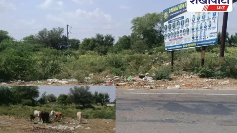 Jhunjhunu: चिड़ावा सुल्ताना रोड पर कचरे का ढेर, बदबू से आमजन परेशान