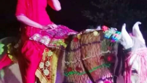 गाँधी परिवार की बेटी सोनू को घोड़ी पर बैठाकर बिंदोरी निकाली