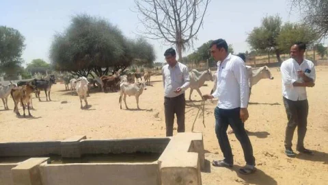 चिलचिलाती धूप, भीषण गर्मी,हीट वेव व प्रचंड तापमान के बीच तहसीलदार निकले फिल्ड में